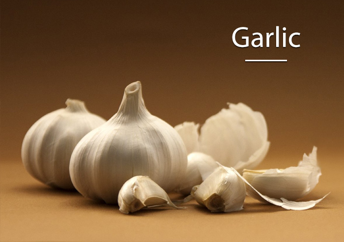 home-prod-garlic